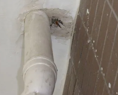 柳林漏水检测哪家好